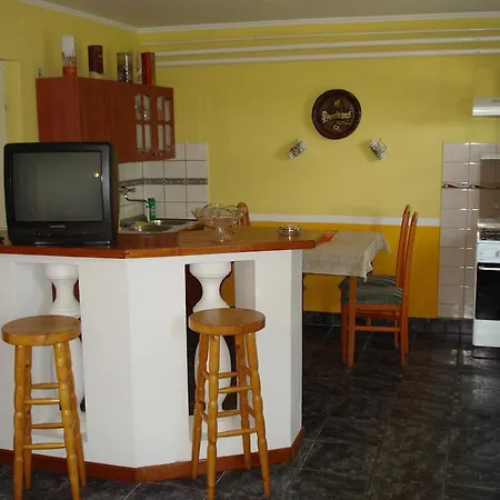 Zsoli Vendeghaz *