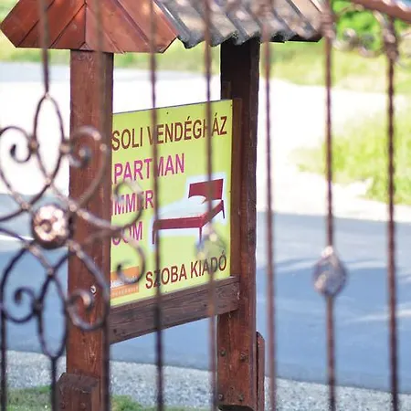 Zsoli Vendeghaz Guest house *