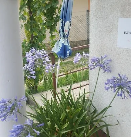 Zsoli Vendeghaz Guest house